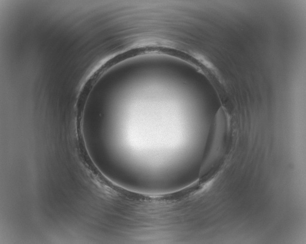 X0000055520877200508121040