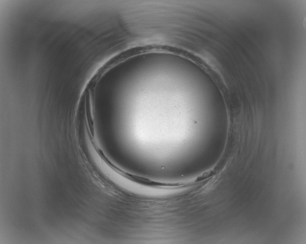 X0000055520879200508121040