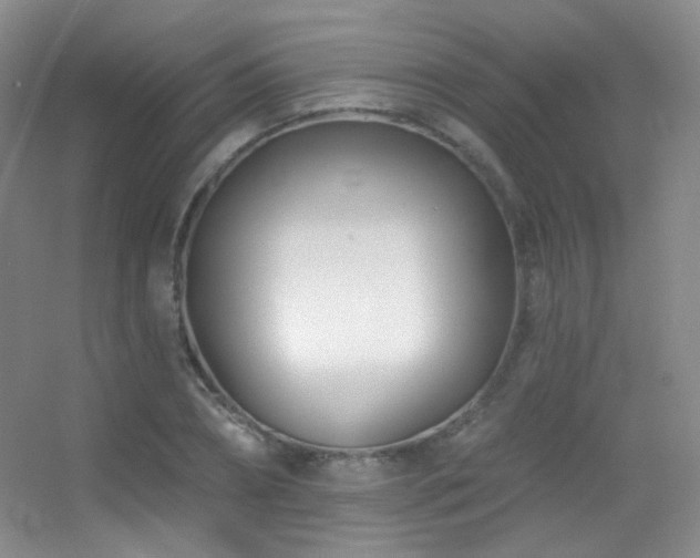 X0000055520882200508121040