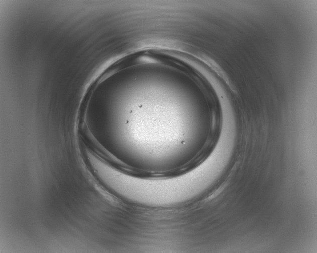X0000055520885200508121040