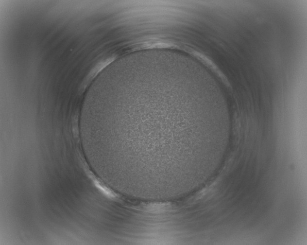 X0000055520889200508121040