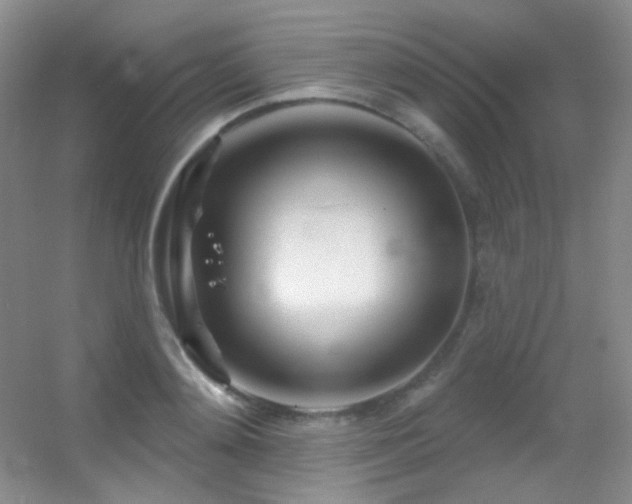 X0000055520892200508121040