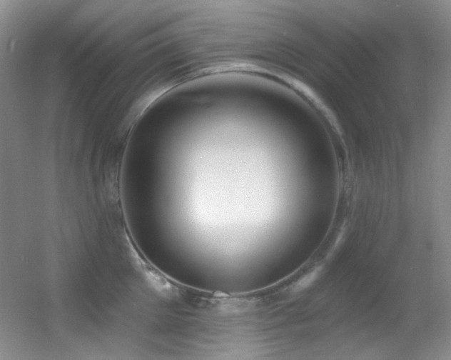 X0000055520905200508121040