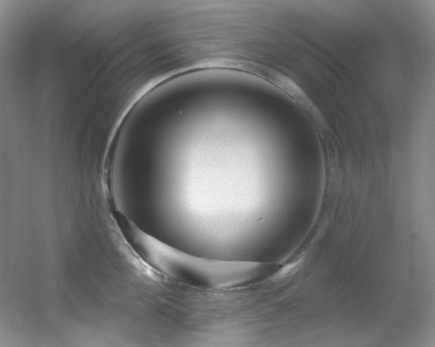 X0000055520908200508121040