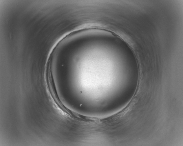 X0000055520912200508121040