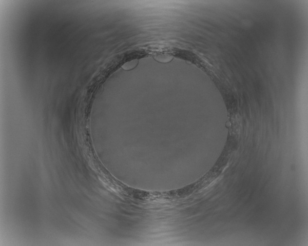 X0000055520913200508121039