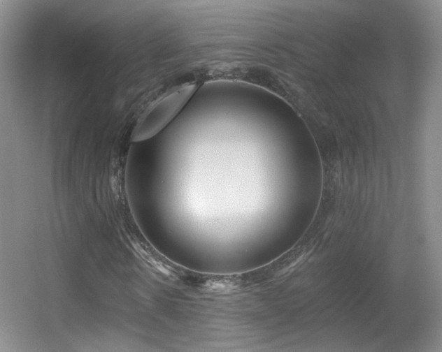 X0000055520914200508121039
