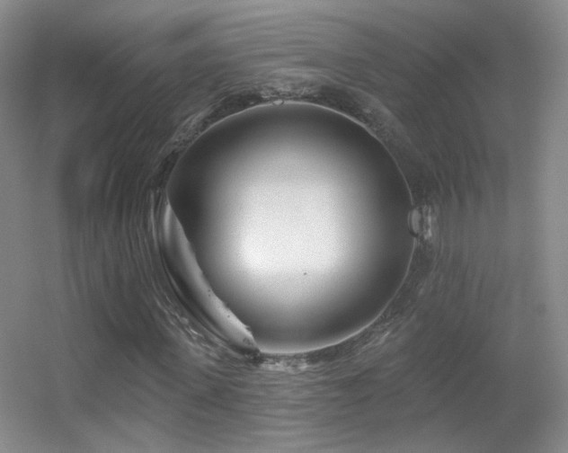 X0000055520915200508121039