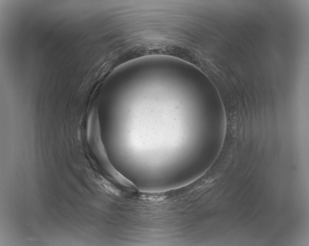 X0000055520916200508121039