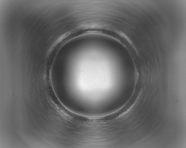 X0000055520922200508121039