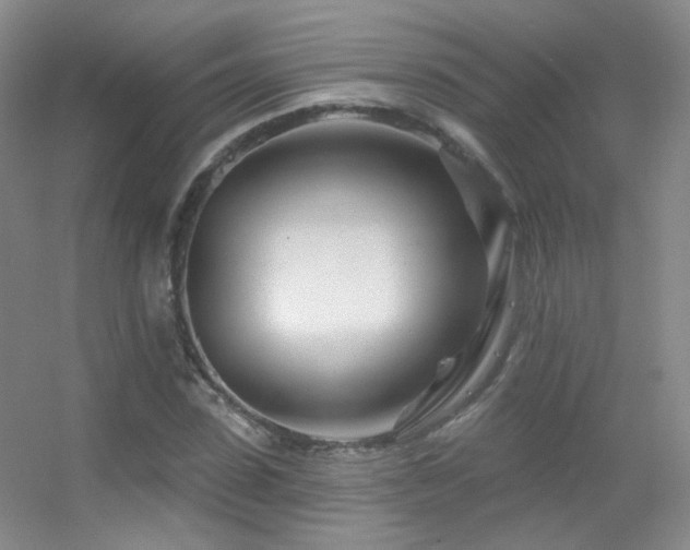 X0000055520923200508121039