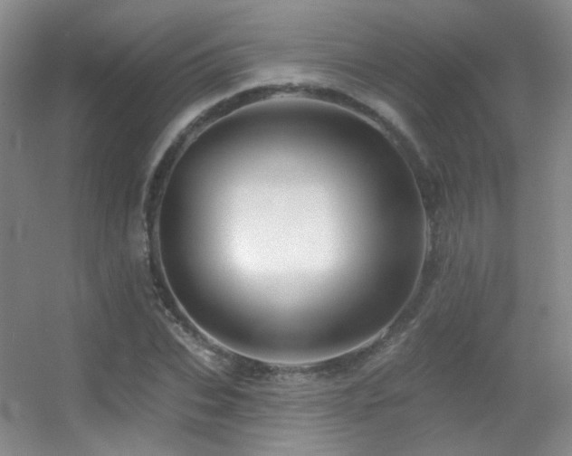 X0000055520927200508121039