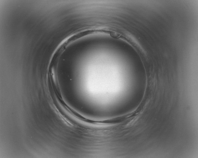 X0000055520932200508121039