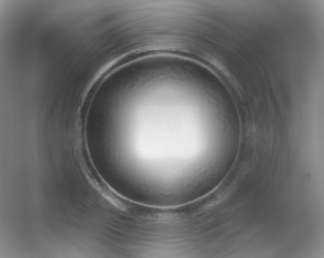 X0000055520933200508121039
