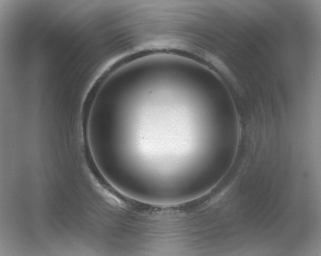 X0000055520934200508121039