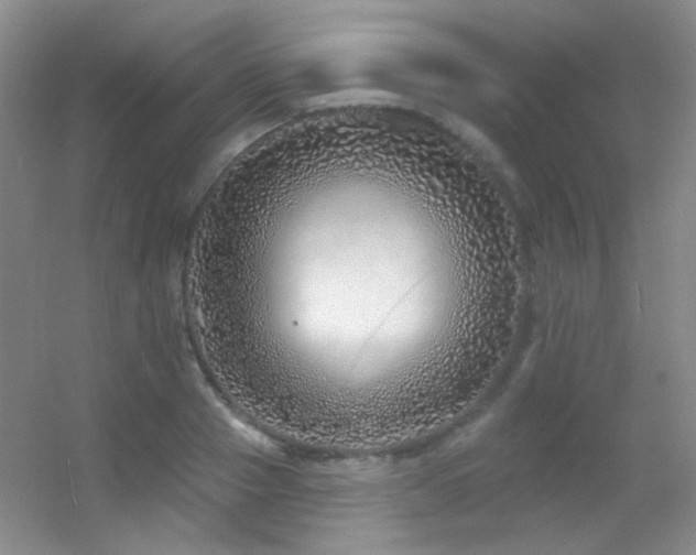 X0000055520937200508121039