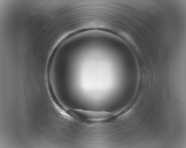 X0000055520942200508121040