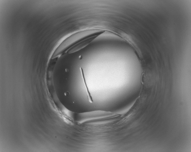 X0000055520956200508121040