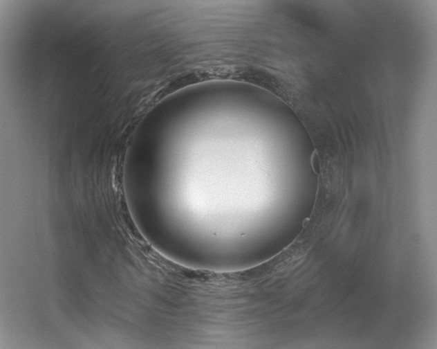 X0000055520962200508121039