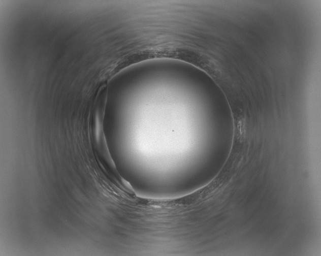 X0000055520963200508121039