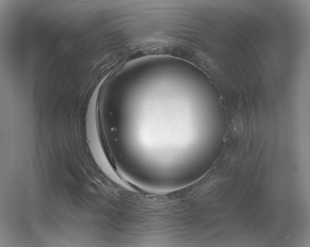 X0000055520964200508121039