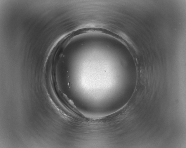 X0000055520972200508121039