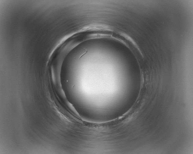 X0000055520973200508121039