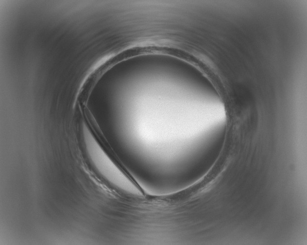 X0000055520974200508121039