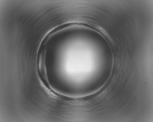 X0000055520980200508121039