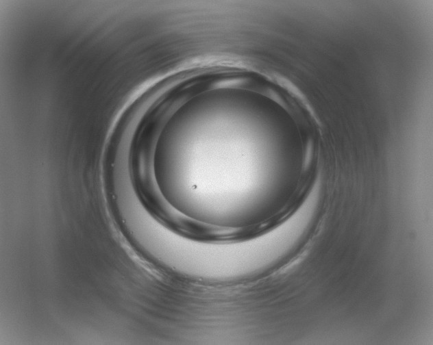 X0000055520981200508121039