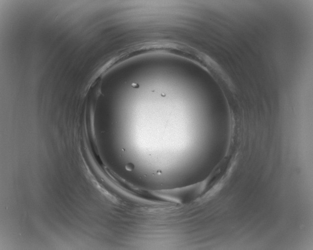 X0000055520985200508121039
