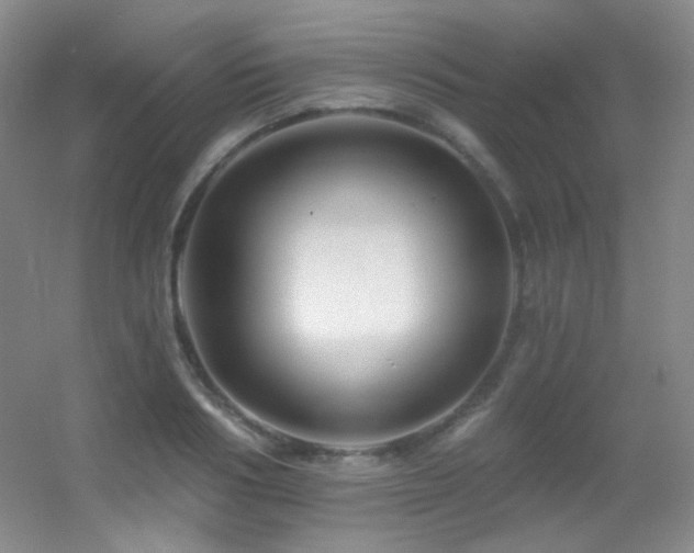 X0000055520986200508121039