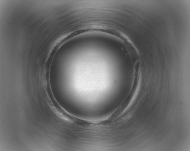 X0000055520987200508121039