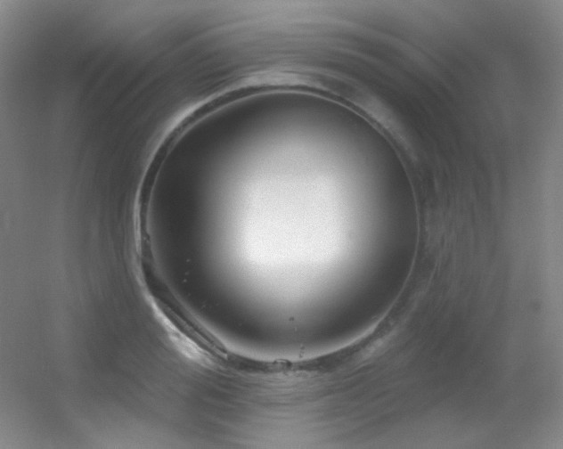 X0000055520988200508121039