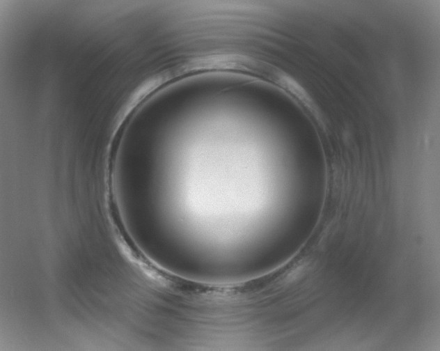 X0000055520994200508121038