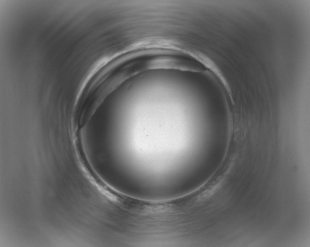 X0000055520997200508121038
