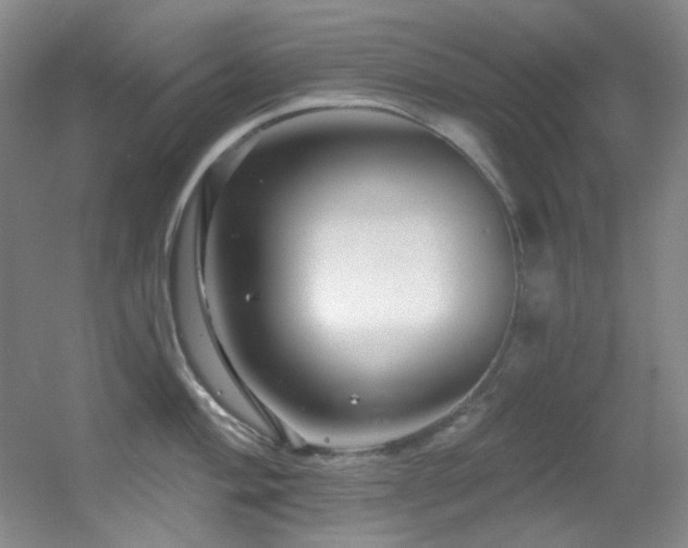 X0000055521004200508121038