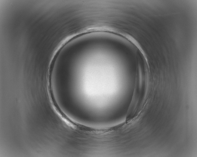 X0000055521005200508121038