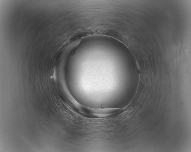 X0000055521010200508121037