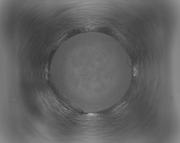 X0000055521011200508121037