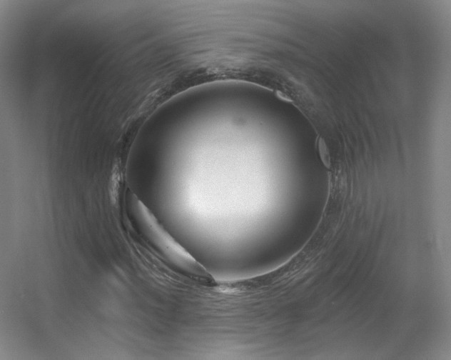 X0000055521012200508121037