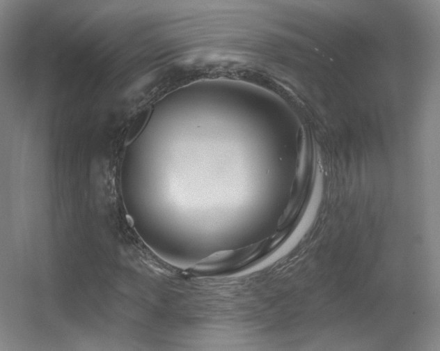 X0000055521013200508121037