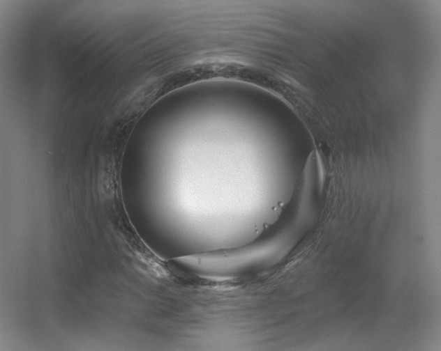 X0000055521014200508121037