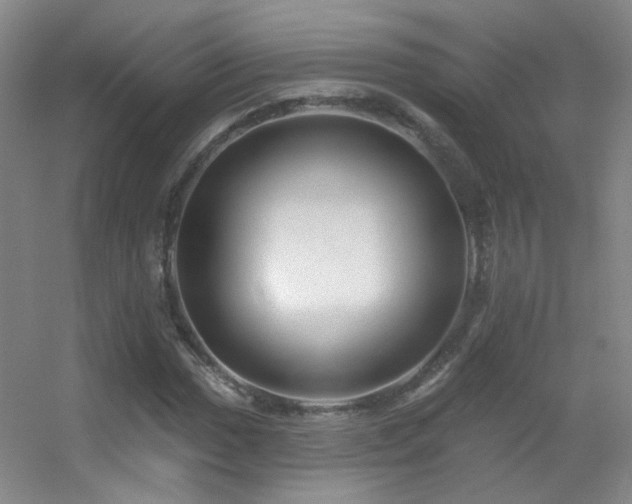 X0000055521017200508121038