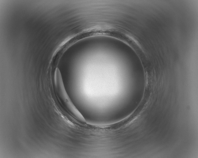 X0000055521018200508121038