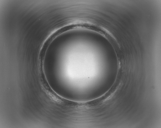 X0000055521021200508121038