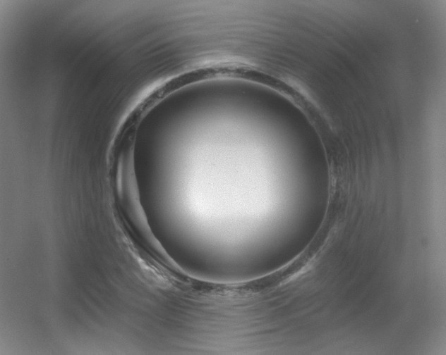 X0000055521022200508121038