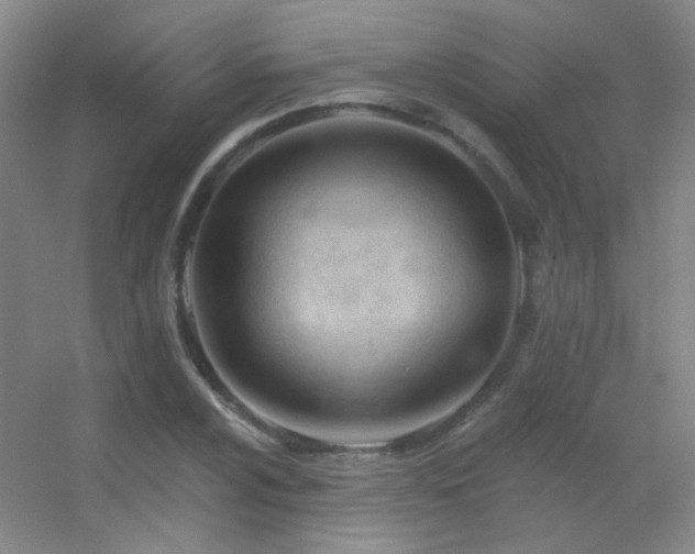 X0000055521024200508121038