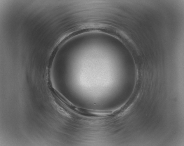 X0000055521025200508121038