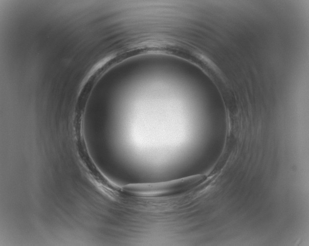 X0000055521026200508121038